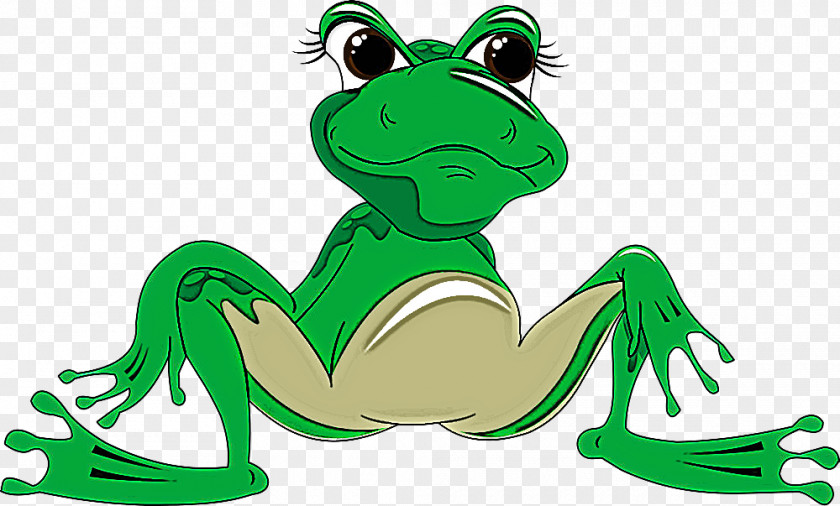 Green True Frog Cartoon Shrub PNG