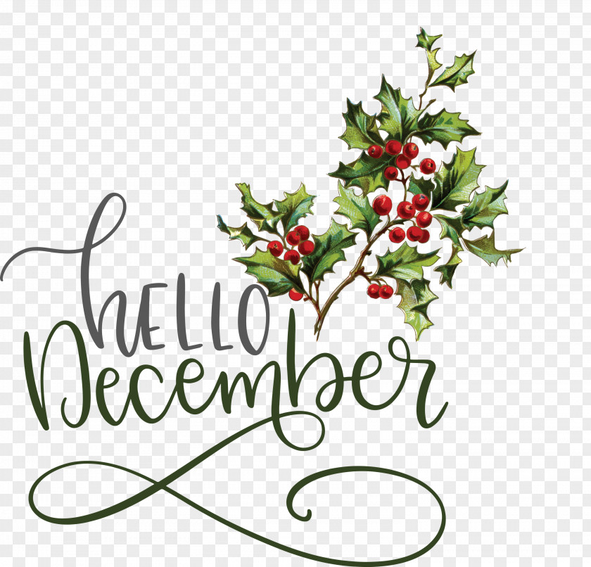 Hello December Winter PNG