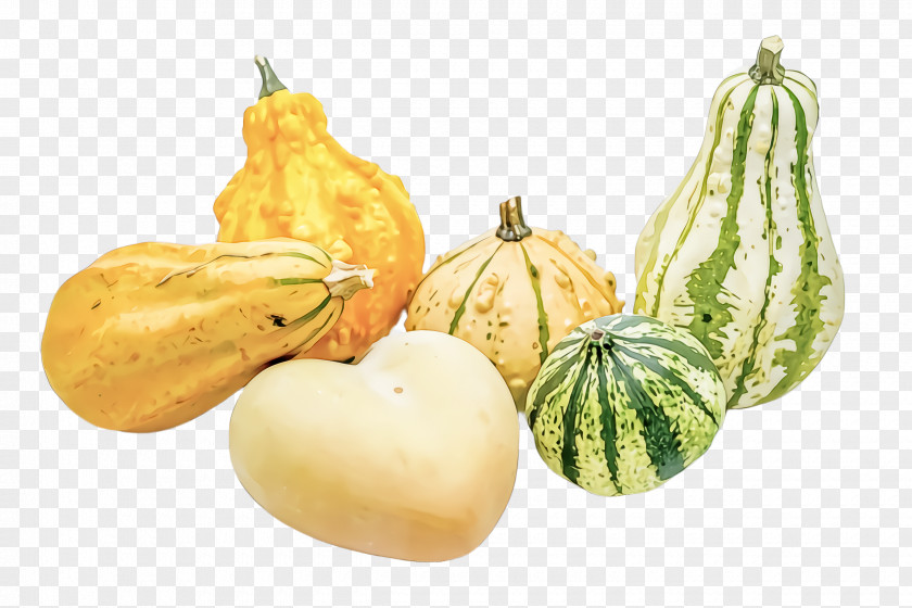 Muskmelon Winter Squash Vegetable Food Plant Cucurbita Gourd PNG