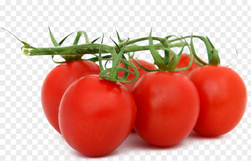 Tomato With Leaves Organic Food Fruit Vegetable PNG
