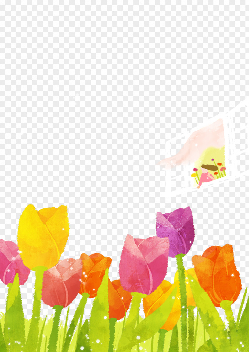 Tulip Drawing Download Watercolor Painting PNG