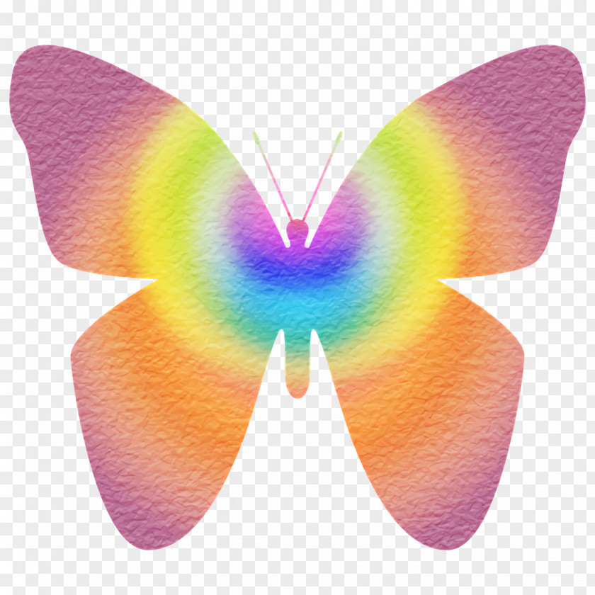 Butterflies Insect Wing Moth Clipboard PNG