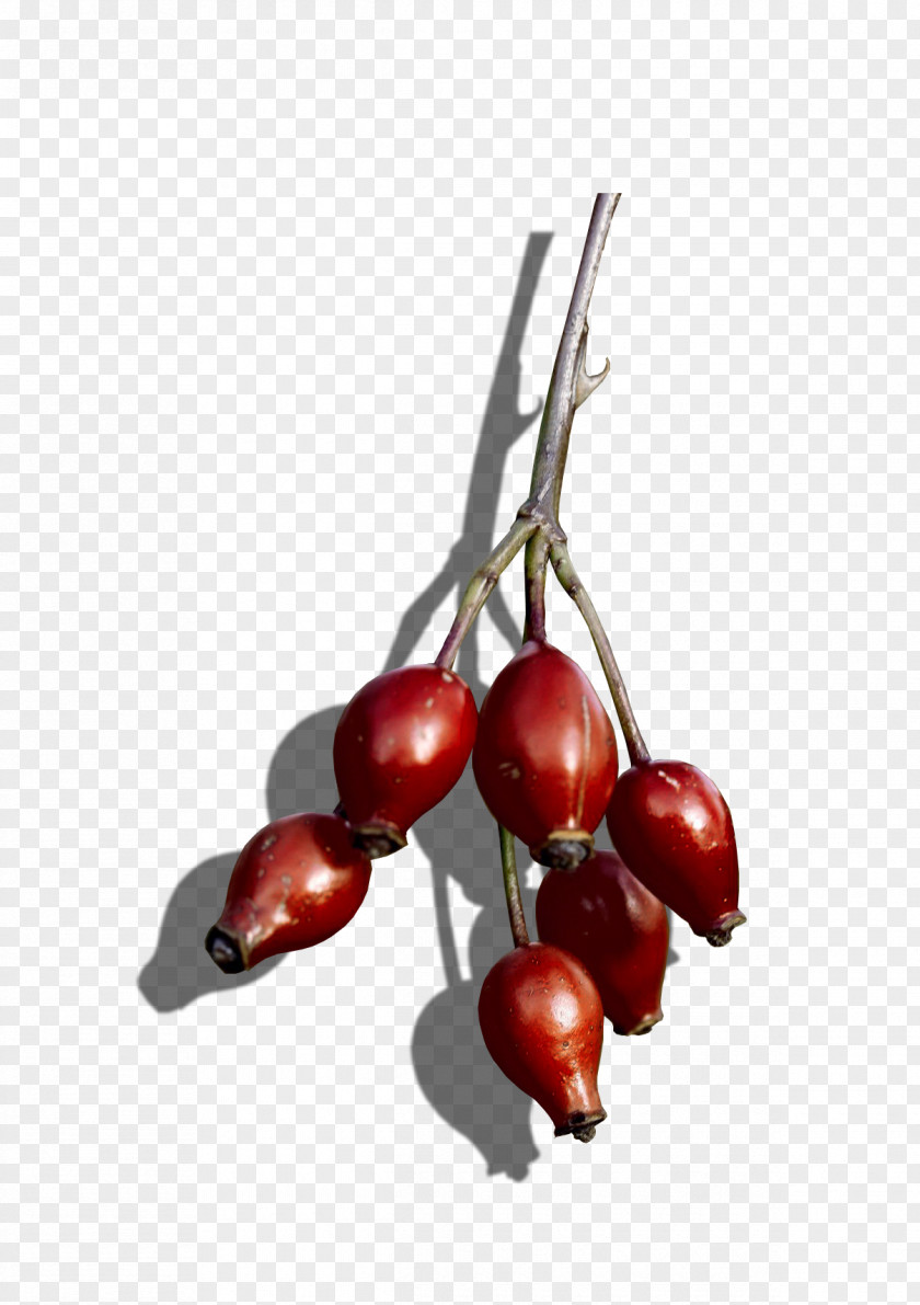 Cherry Cranberry Rose Hip Superfood PNG