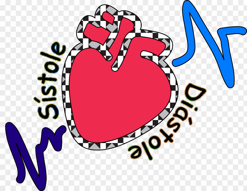 Heart Diastole Systole Muscle Image PNG