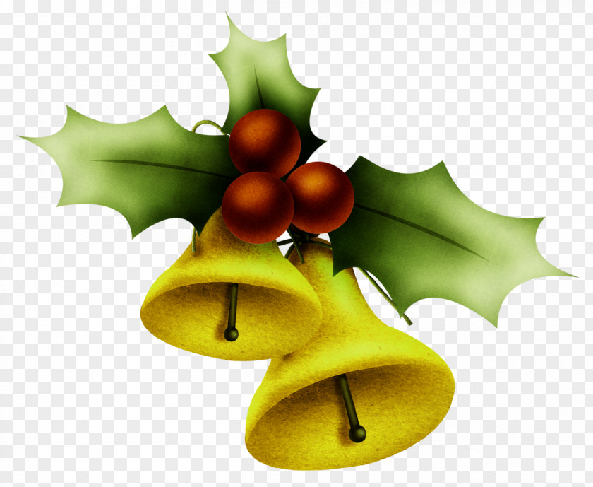 Holly Badge Christmas Day Holiday Image Common PNG
