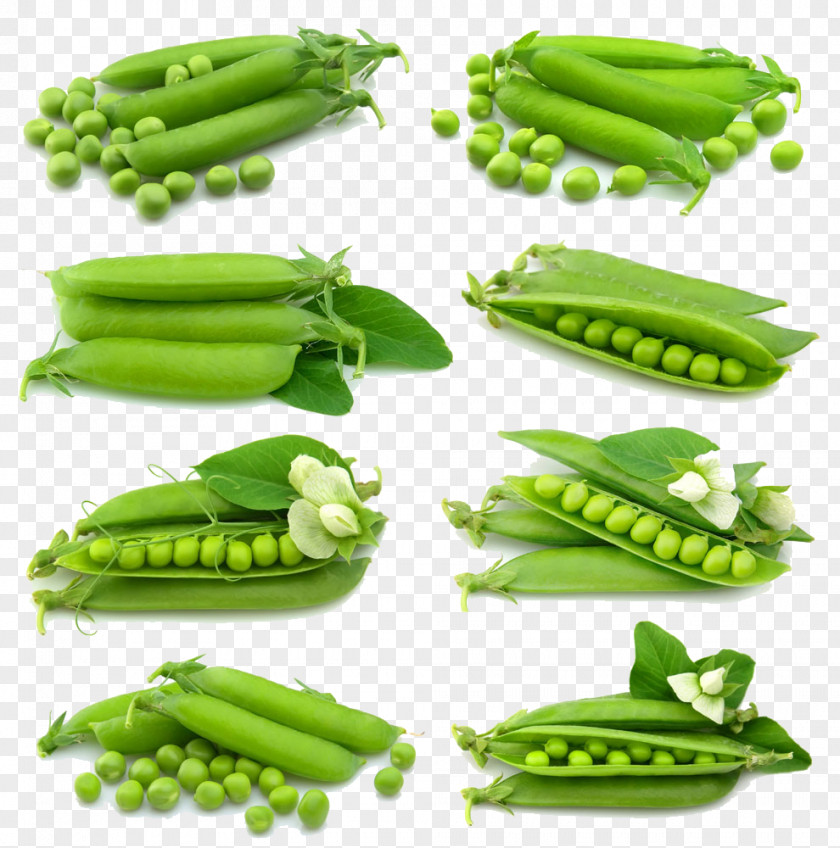 Pea Pods Snap Snow Vegetarian Cuisine Vegetable Food PNG