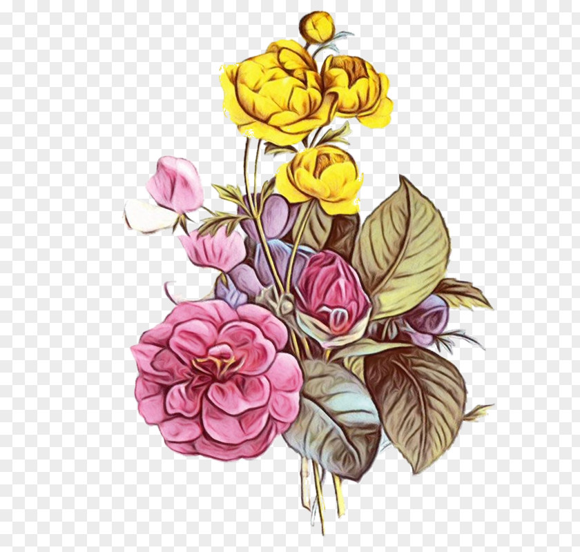 Rose Order Camellia Watercolor Flower Background PNG