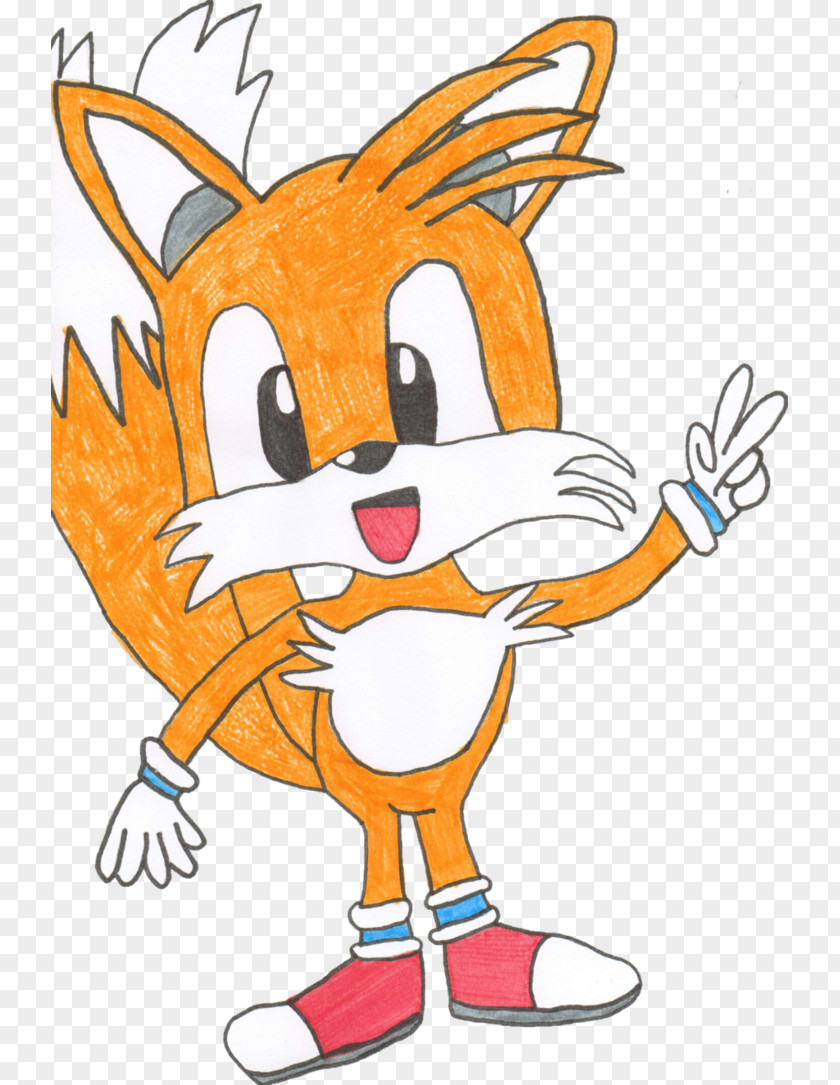 Tails Sonic Rush Adventure Chaos Marine The Raccoon Sega PNG