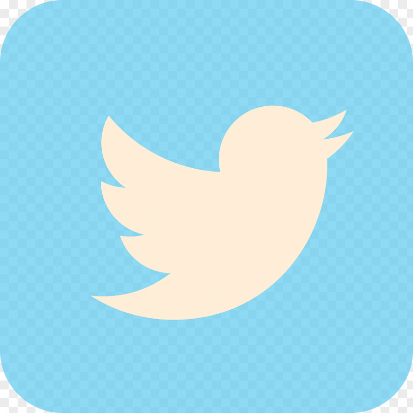 Twitter Logo Social Media PNG