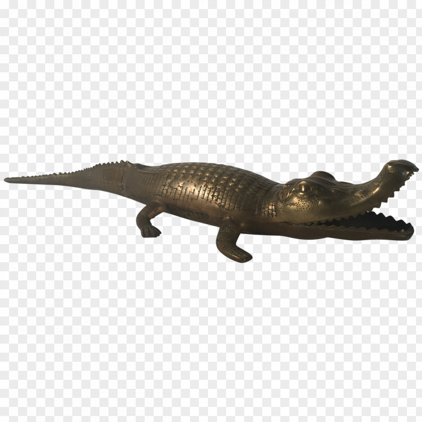 Alligator Fashion Crocodiles Designer Dinosaur PNG