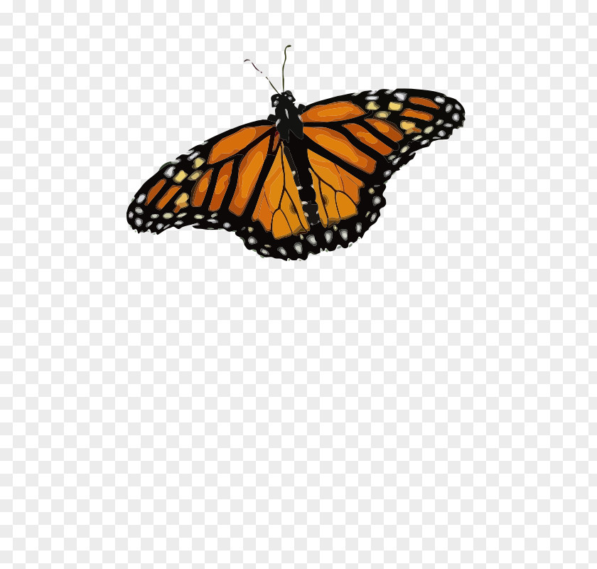Butterfly Monarch Weed Insect Clip Art PNG