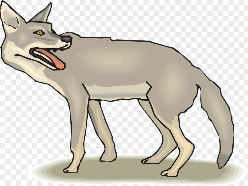 Gray Wolf Prairie Wolf: The Coyote Jackal Clip Art PNG