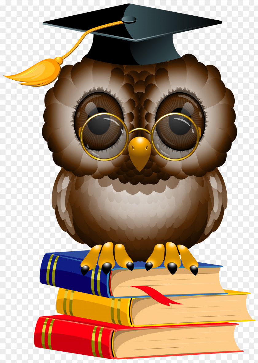 Owl With School Books And Cap Clipart Image Wise Drinkery & Cookhouse Cafe The Enchanting Tokyo PNG