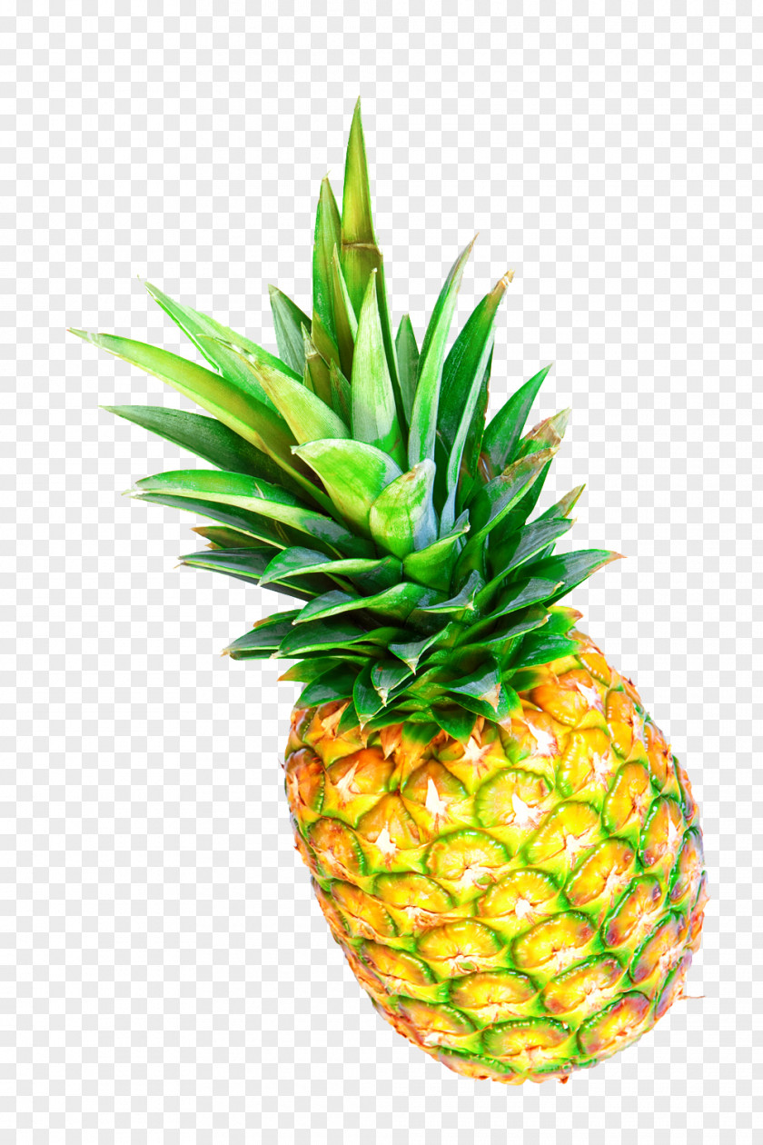 Pineapple Pattern Tropical Fruit Photography PNG