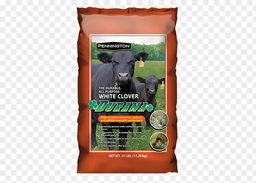 Silage Tall Fescue Seed Lawn Kentucky Bluegrass White Clover PNG