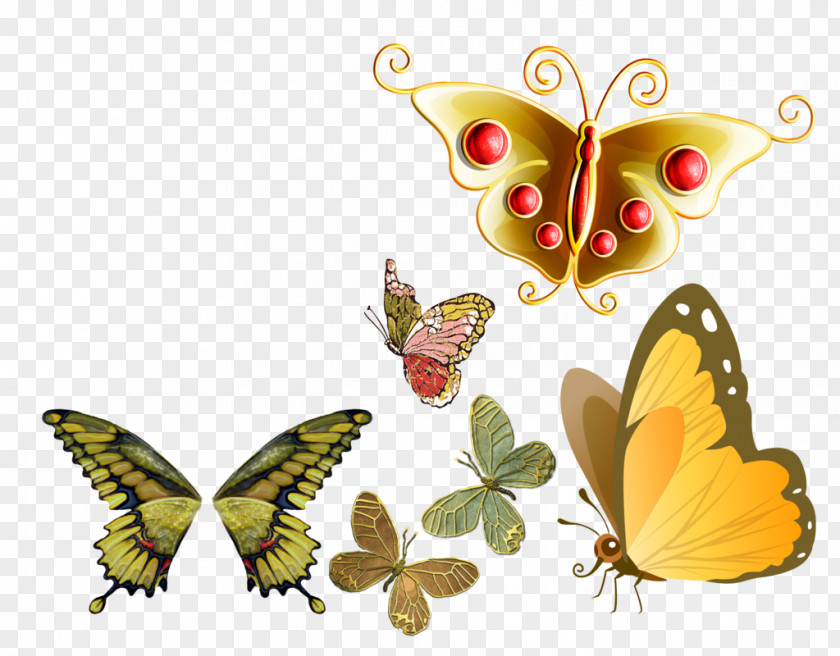 Butterfly Painting Clip Art PNG