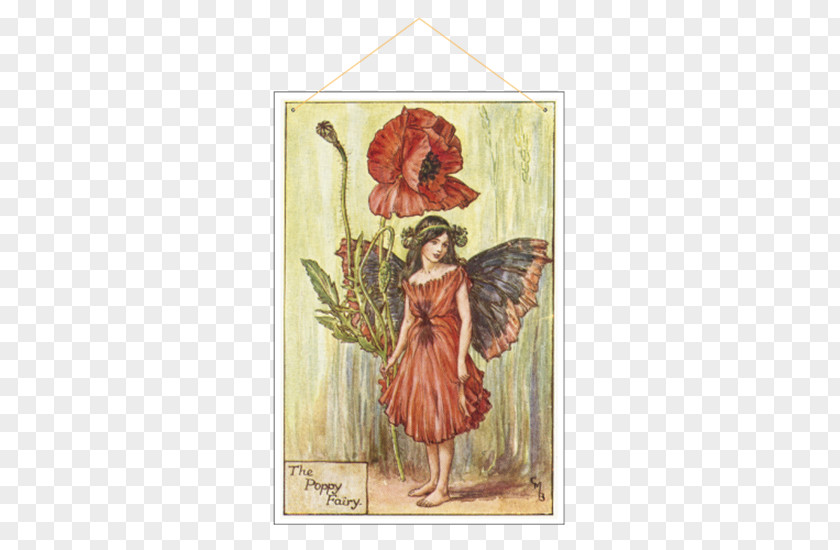 Creeper Hang On Road Floral The Book Of Flower Fairies Poppy Painting Illustrator PNG