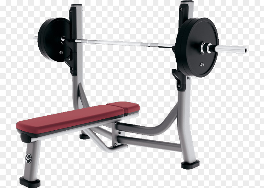 Dumbbell Calf Raises Bench Weight Training Fitness Centre Physical Exercise PNG