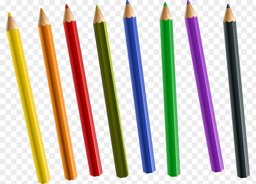 Hand Drawn Pencil Colored Drawing PNG