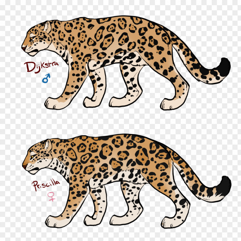Leopard Jaguar Ocelot Cheetah Wildcat PNG