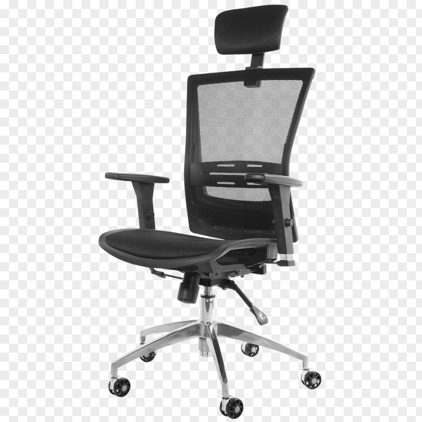 Chair Office & Desk Chairs Lumbar Cushion PNG