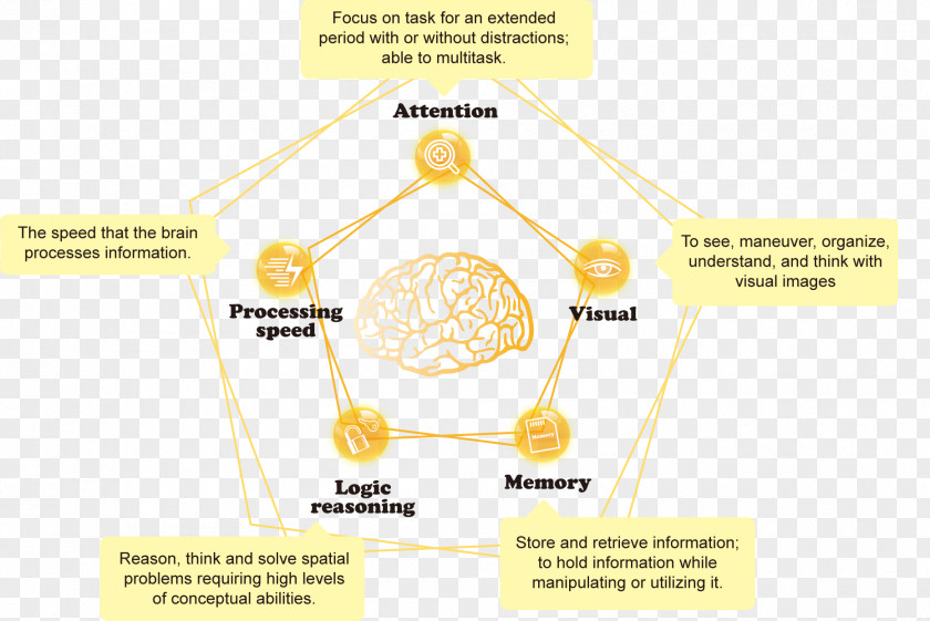 Design Brand Material Diagram PNG