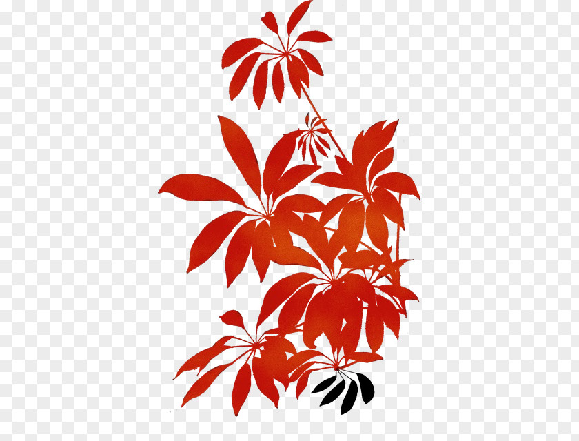 Flowering Plant Arecales Palm Tree PNG
