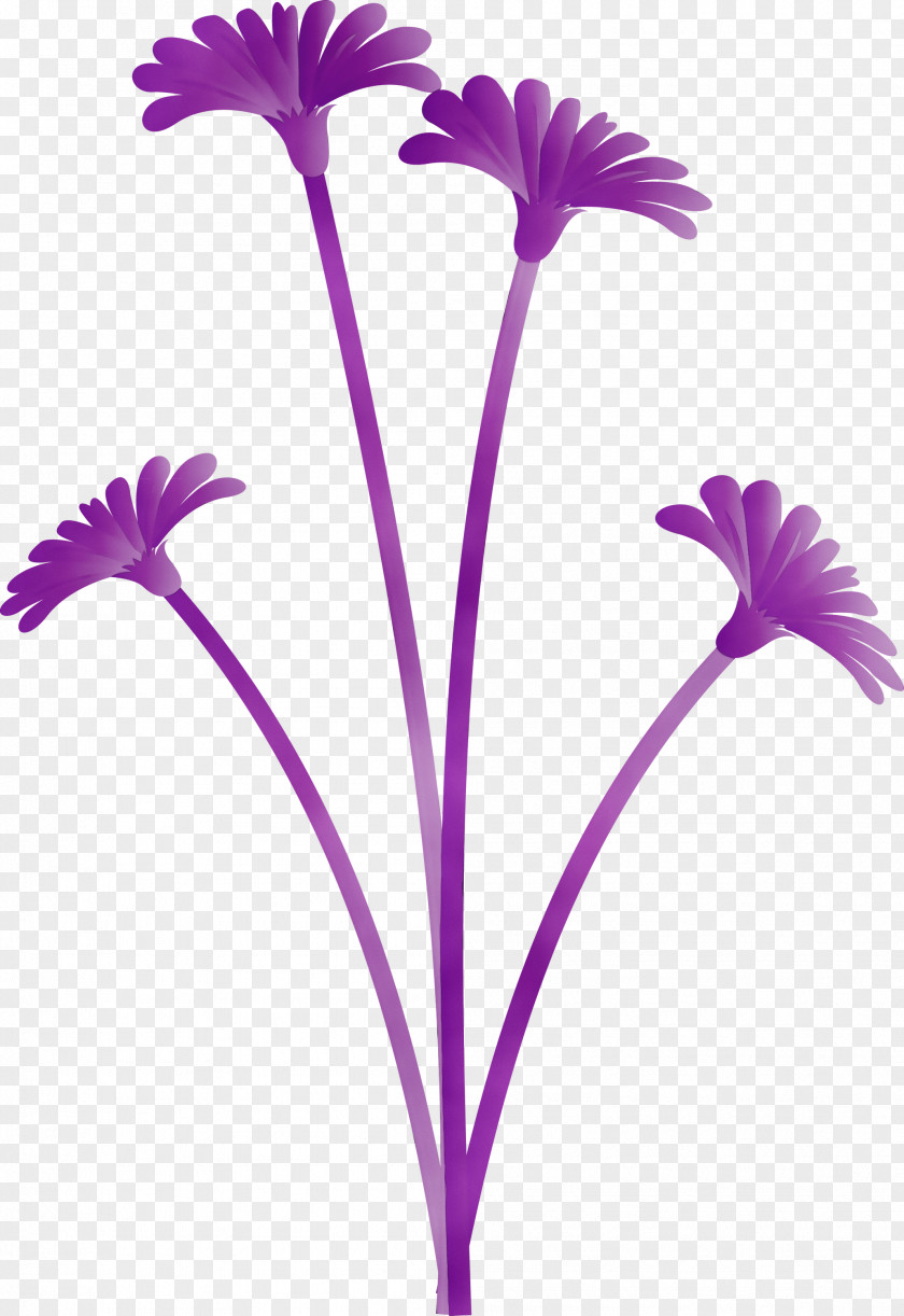 Lavender PNG