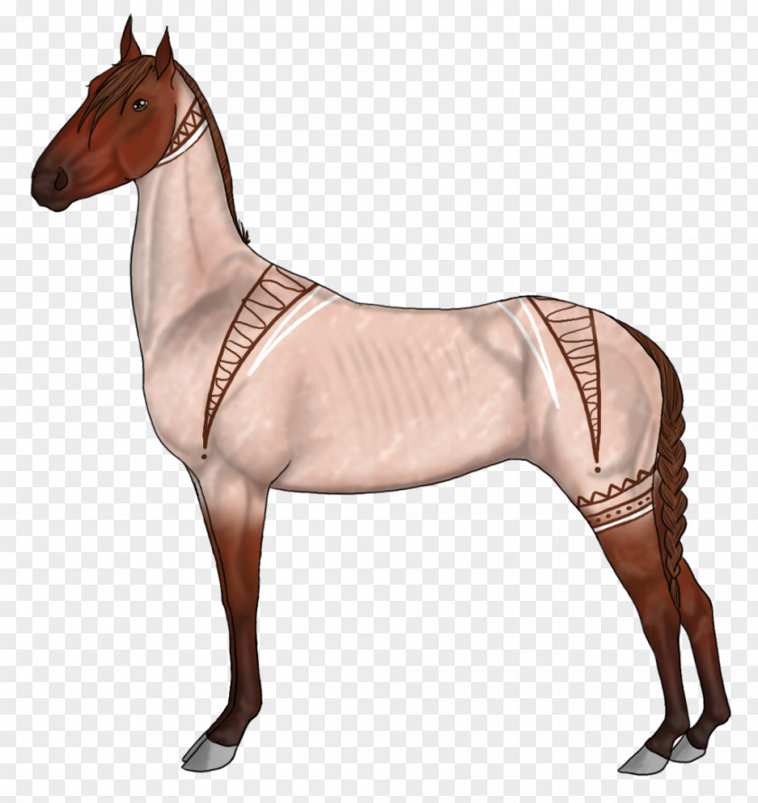 Mustang Halter Stallion Mare Horse Harnesses PNG