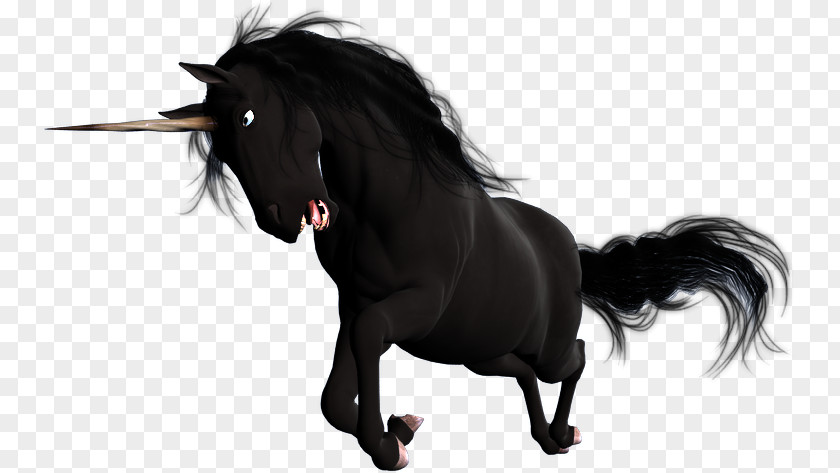 Mustang Mane Stallion Pony Unicorn PNG