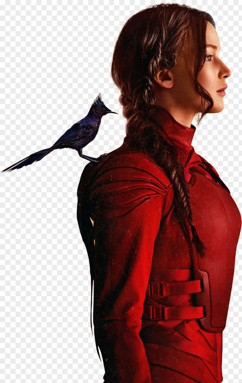 The Hunger Games Free Image Katniss Everdeen Finnick Odair Peeta Mellark Effie Trinket Gale Hawthorne PNG
