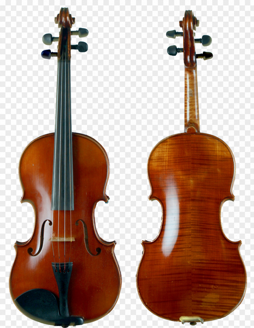 Violin Cremona Stradivarius Making And Maintenance Luthier PNG