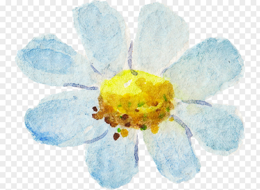 Watercolor Flowers Watercolour Painting PNG