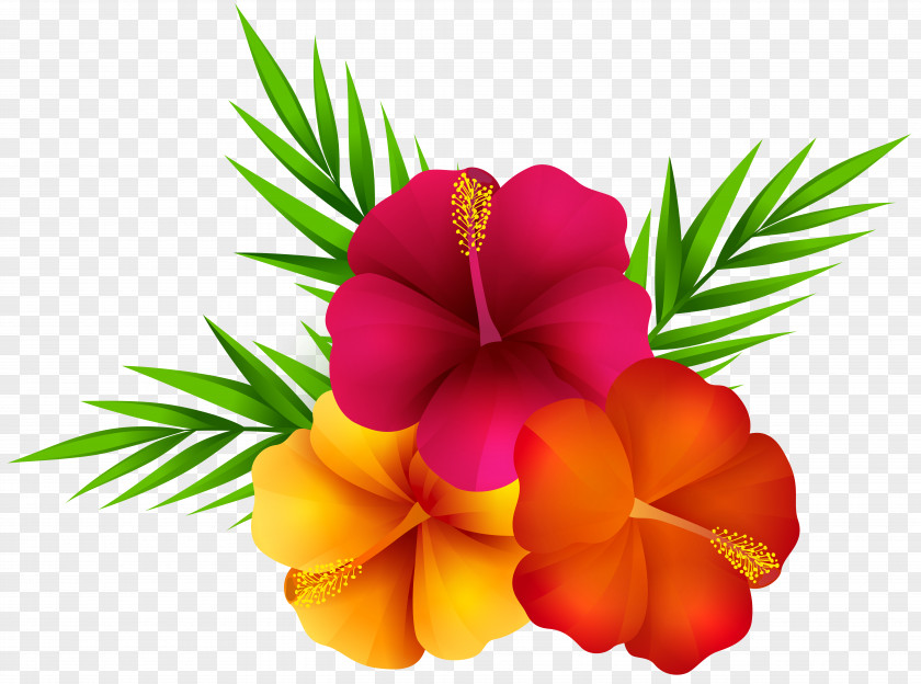 Exotic Flowers Clip Art Image Flower PNG