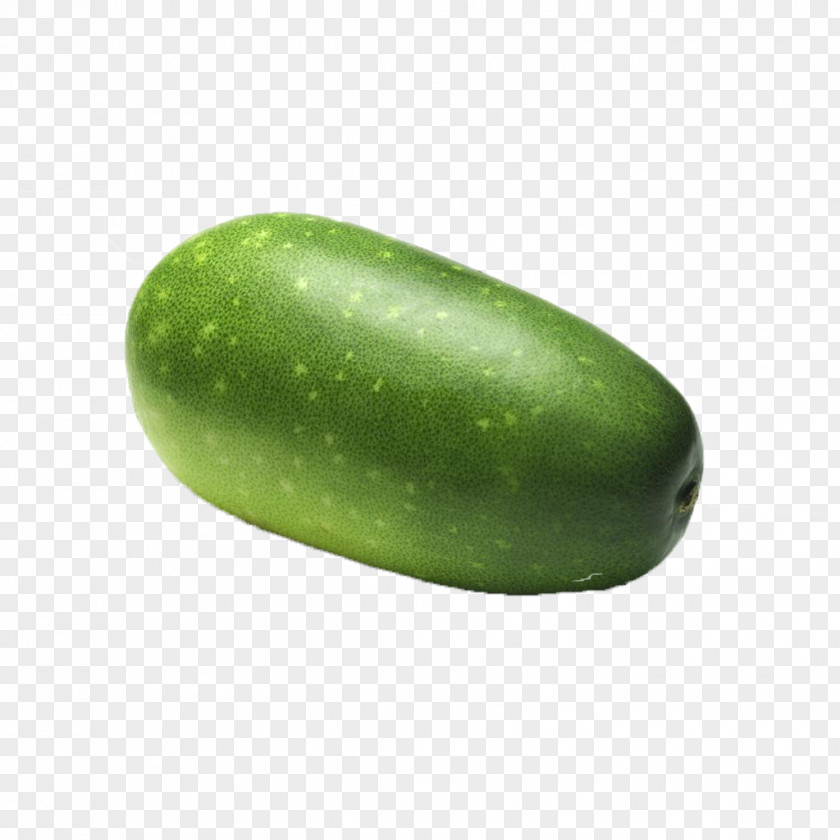 Green Melon Wax Gourd Cucumber Avocado Fruit PNG