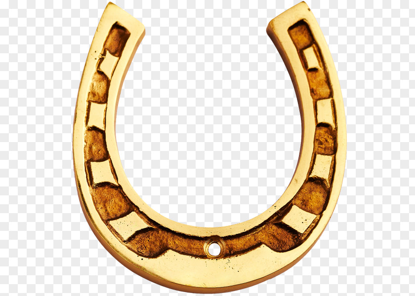 Horseshoe Luck Happiness PNG