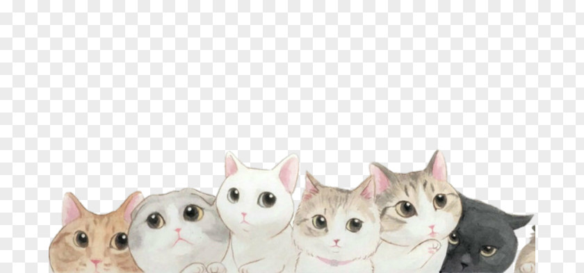 Kitten Cat Desktop Wallpaper PNG