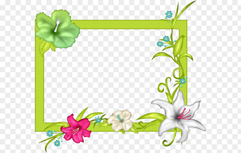 Pin Floral Design Picture Frames Centerblog Paper PNG