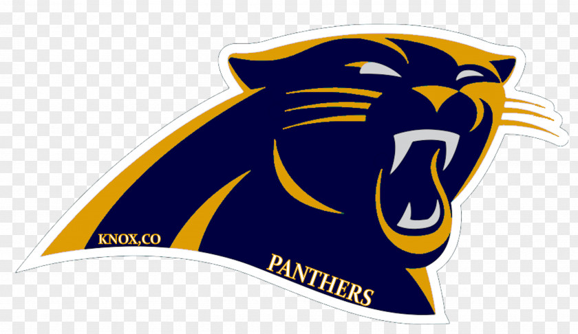 American Football 2011 Carolina Panthers Season Super Bowl 50 2015 NFL PNG