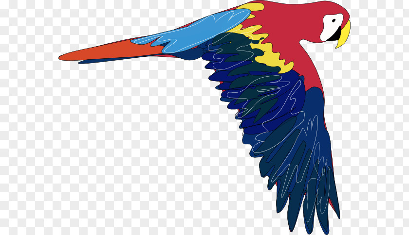 Cartoon Parrot Pictures Bird Macaw Clip Art PNG