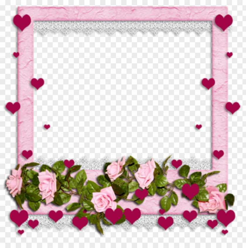 Picture Frames Photography Clip Art PNG