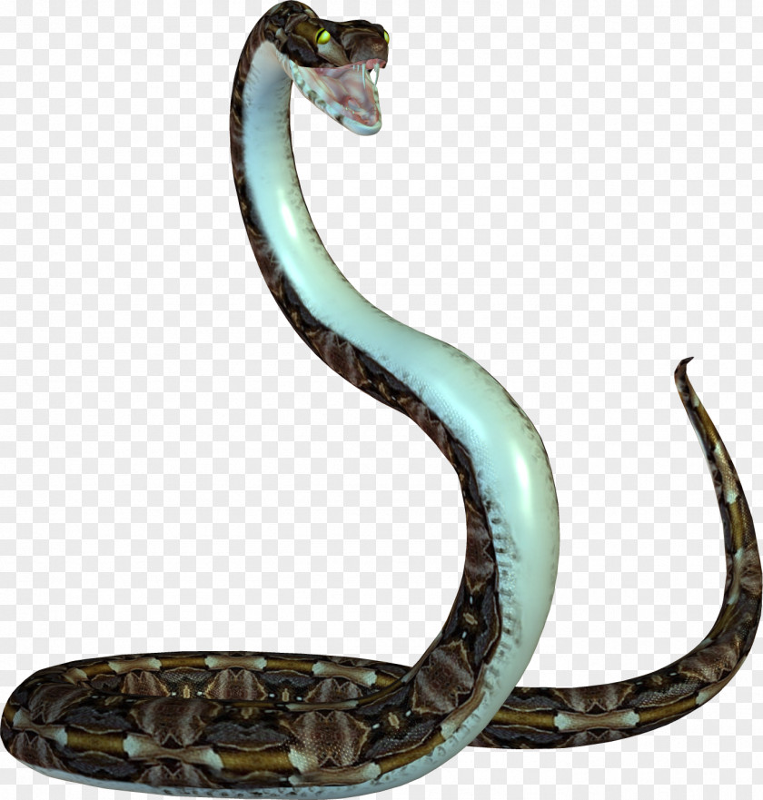 Snake Reptile Desktop Wallpaper PNG