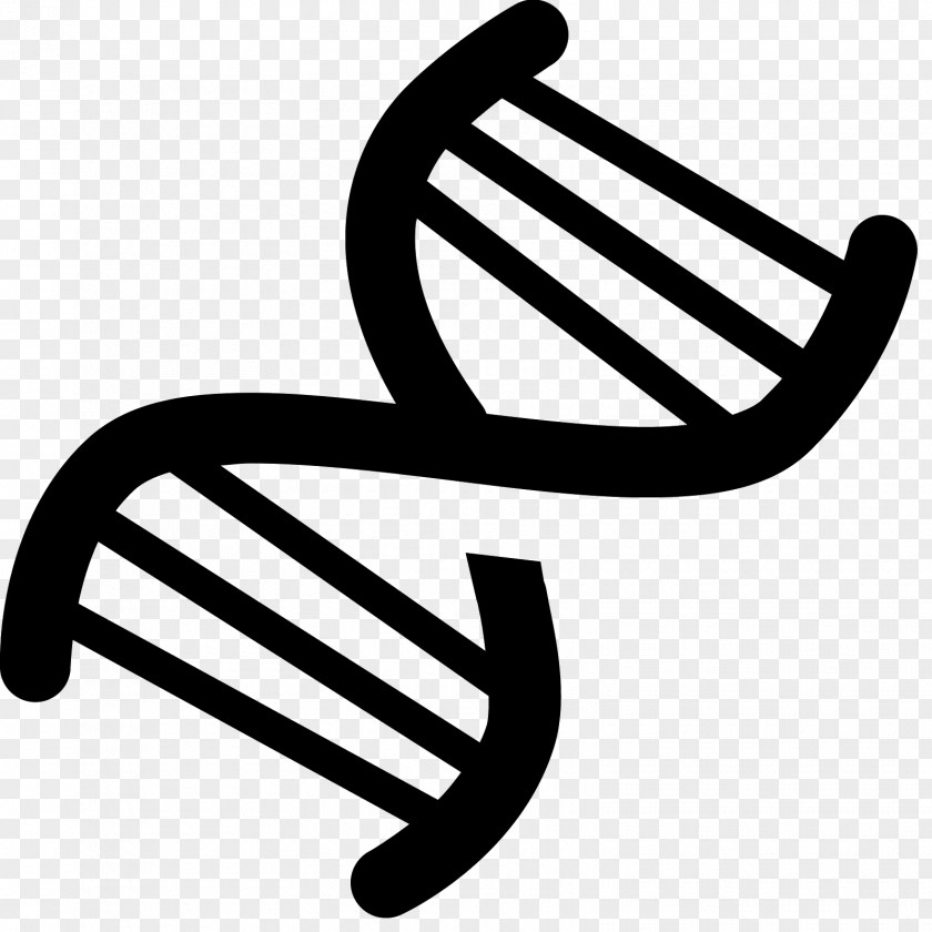 Dark Grey Nucleic Acid Double Helix DNA PNG