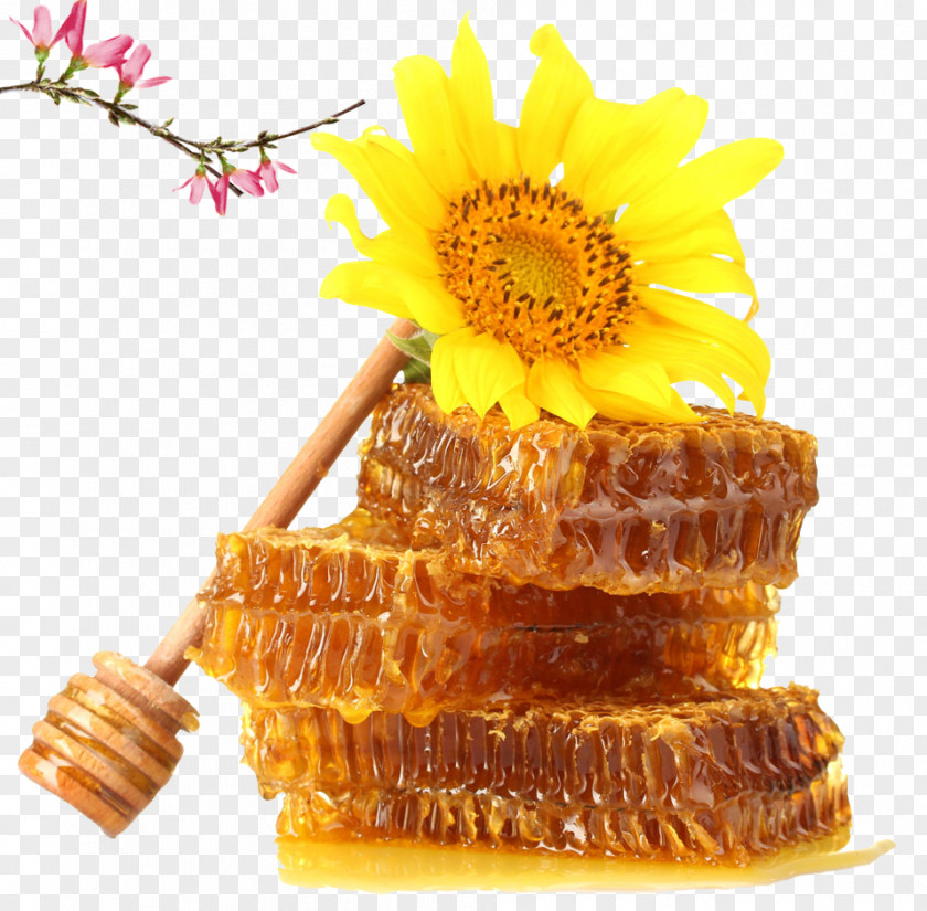 Honey Pattern Cosmetics PNG