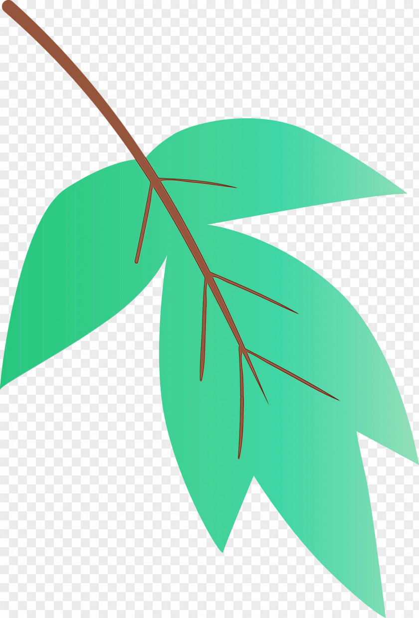 Leaf Green Plant Tree Line PNG