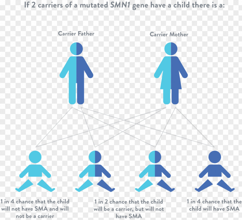 Spinal Muscular Atrophy Genetic Disorder Muscle SMN1 PNG