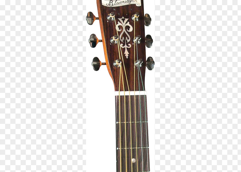 Acoustic Guitar Dreadnought Dean Guitars Musical Instruments PNG