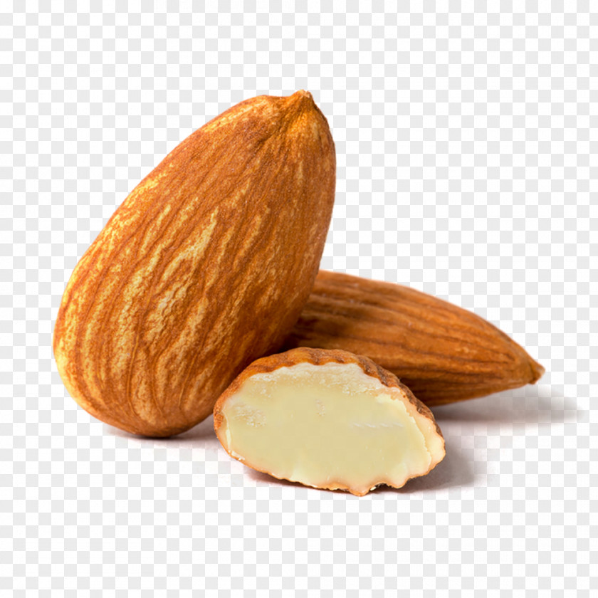 Almond Nut Android Madeleine PNG