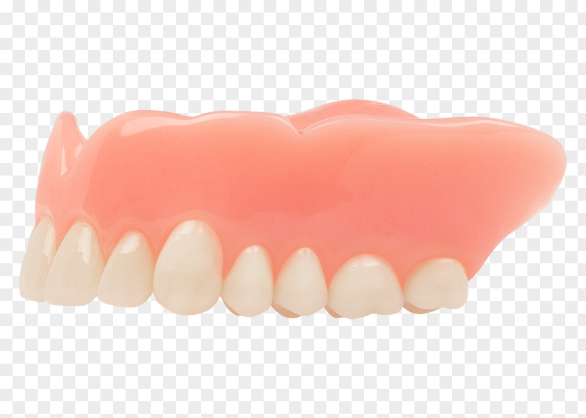 Aspen Dental Tooth Dentures Dentistry Human Mouth PNG