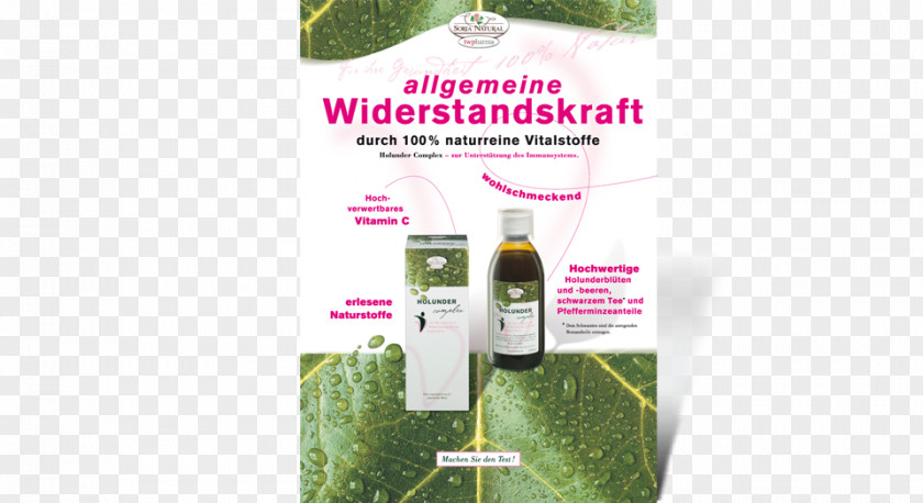 Catering Flyer Herbalism Product PNG